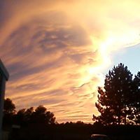 Debra Hayden Photo 31