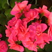 April Bright Photo 39