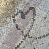 Jennie Busch Photo 16