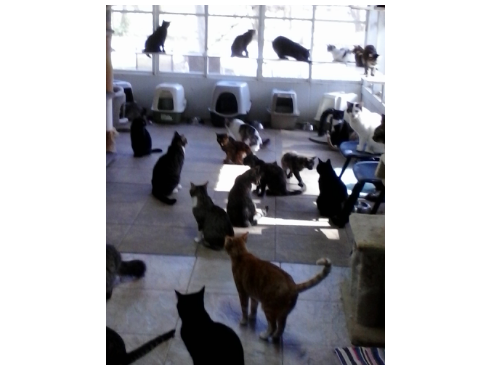 Ann Jenkins Photo 29 Ann Jenkins Photo 29