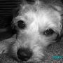 Anita Warren Photo 45