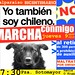 Andrea Avalos Photo 36