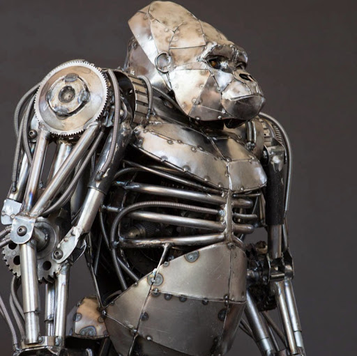 Matthew Poland Photo 4