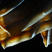 Bryan Doty Photo 10