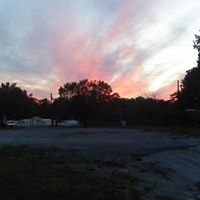 Eddie Walker Photo 13