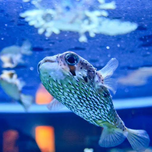 Jonathan Funk Photo 29