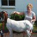 Michelle Cowden Photo 8