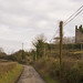 Charles Comerford Photo 10
