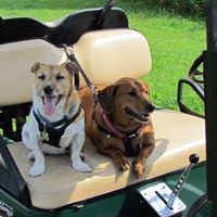 Virginia Rich Photo 33