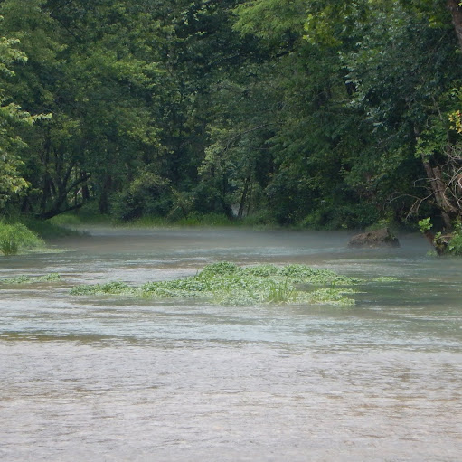 Suzanne Fernandes Photo 6