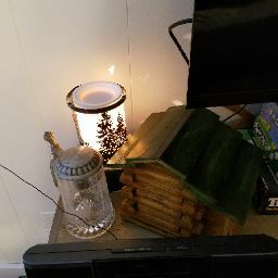 Vicki Schwab Photo 17