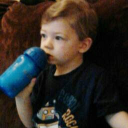 Thomas Norris Photo 18