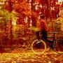 John Lester Photo 25