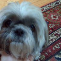 Elizabeth Clegg Photo 13