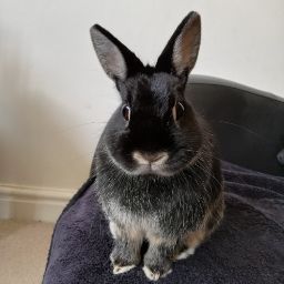 Catherine Griffin Photo 23