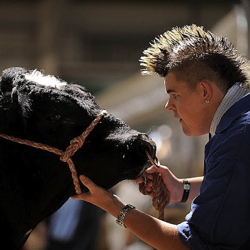 Lee Maxwell Photo 42