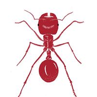 Jerry Mayfield Photo 6