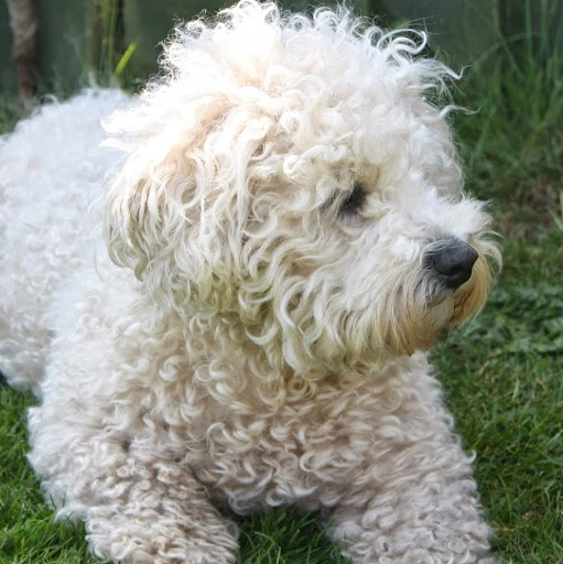 Richard Johns Photo 57