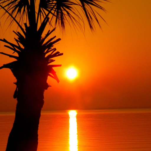 Gene Mcleod Photo 11