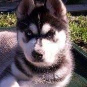 Matthew Brennan Photo 22