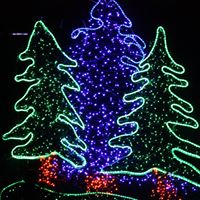 Alana Coleman Photo 11