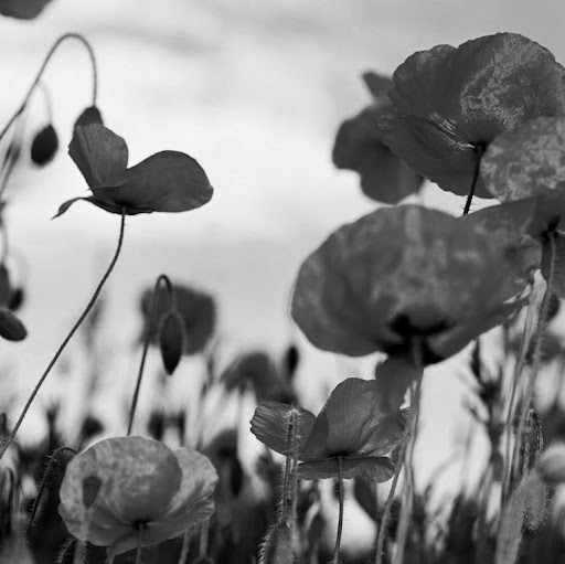 Katherine Stevenson Photo 21 Katherine Stevenson Photo 21