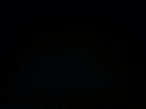 Colleen Larsen Photo 16