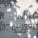 Elizabeth Lusher Photo 4
