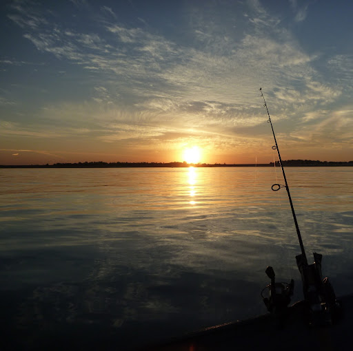 Nicholas Wolfe Photo 12