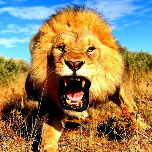 Nicholas Leach Photo 20 Nicholas Leach Photo 20