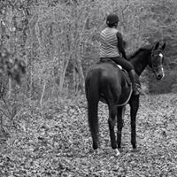 Laura Moore Photo 27