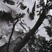 Lloyd Poole Photo 16
