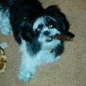 Bruce Beavers Photo 8