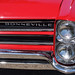 Susan Herrick Photo 37