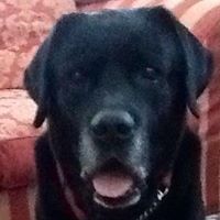 Maria Valentini Photo 6