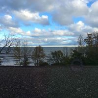 Chris Roehl Photo 7