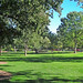 Julia Parks Photo 9