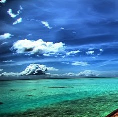 Connie Sizemore Photo 10