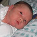 Emmett Williams Photo 11
