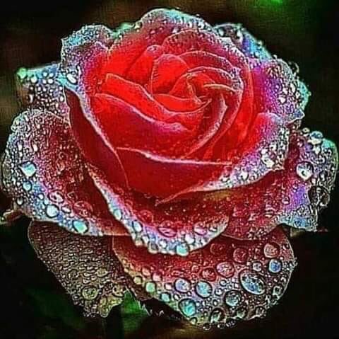 Margarita Vasquez Photo 20