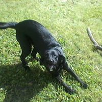 Jack Walter Photo 3