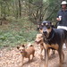 Aletha Walker Photo 8