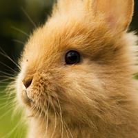 Tamara Lee Photo 41 Tamara Lee Photo 41