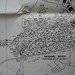 Neil Rader Photo 7