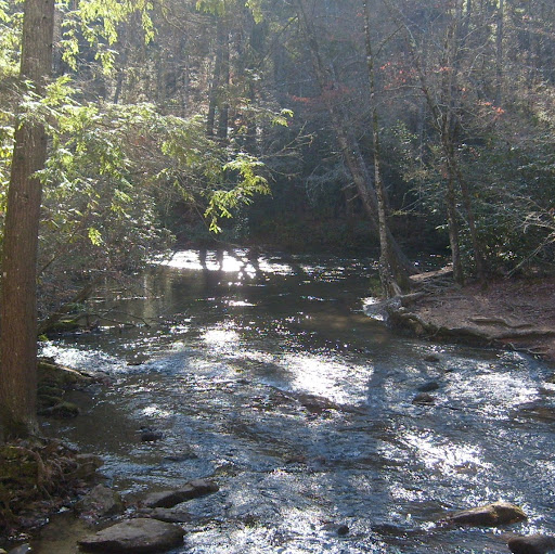 Nancy Burris Photo 21