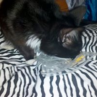 Jeremiah Russell Photo 32