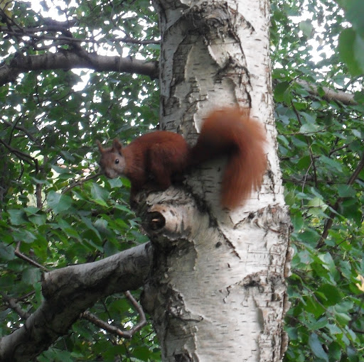 Louise Cooke Photo 28