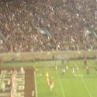 Devin Wolfe Photo 30