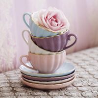 Tracey Kincaid Photo 15