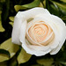 Joann Bloom Photo 16